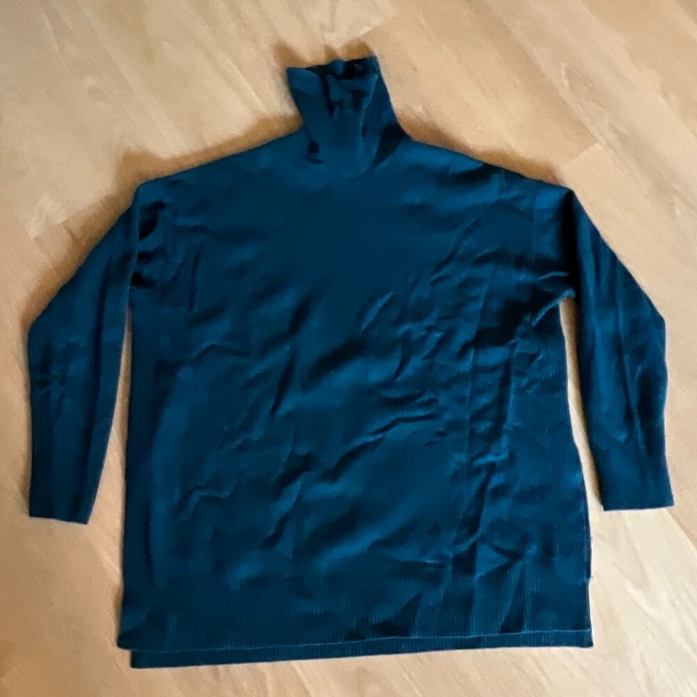 All Saints Tunic Turtleneck